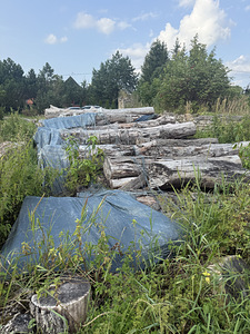 Saare palk (1 foto / 2)