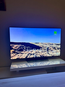 Oled LG 55 (5 foto / 9)