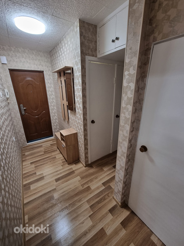 Väga hea asukohaga renoveeritud 2-toaline korter 47 m2 Talli (foto #9)