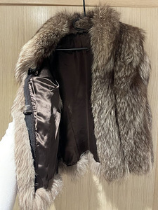 Arktiline rebane vest. (3 foto / 4)