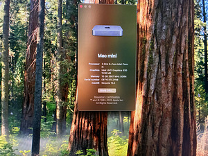 Mac mini 2018 i5 6core+Apple cinema display 24+egpu (3 foto / 5)