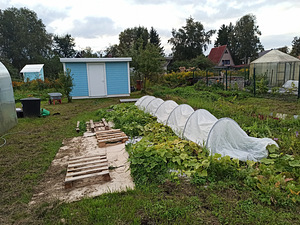 Tõusu tn 66, Kudruküla, Narva, Ida-Virumaa (5 foto / 10)
