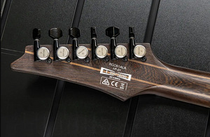 IBANEZ RGD61ALA MTR Axion Label (5 foto / 7)