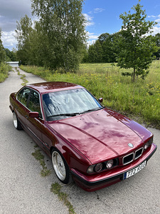 BMW 530i V8 (1 foto / 11)