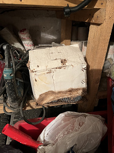 Naelapüssi Kuumtsingitud naelad Wd 50x2,5 9000tk (2 foto / 3)