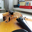 Скрипка Stradiuarius K.H.S 1919 (фото #2)