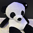 Гигантская панда (фото #3)