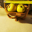 Ваза, корзина складная для фруктов (фото #2)