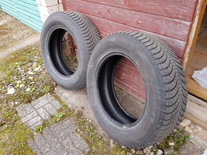 225/65 R17 lamellrehvide komplekt linnamaasturile (7 foto / 10)
