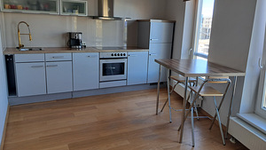 Unikaalse vaate ja asukohaga kesklinna korter (5 foto / 9)