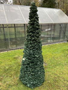 Suur ja uhke kunst jõulukuusk 200cm (1 foto / 2)