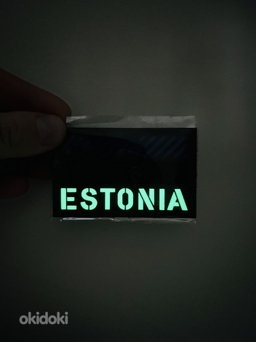 Eesti peegeldav triibud (foto #1)