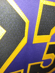 NBA Jordan Lebron James Los Angeles Lakers Authentic Jersey (5 foto / 10)