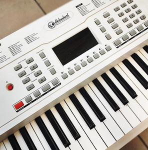 Süntesaator SCHUBERT ETUDE 61 MK II (61 klahvi) (3 foto / 5)