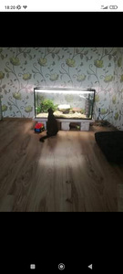Akvaarium koos valgustusega 250l (1 foto / 1)