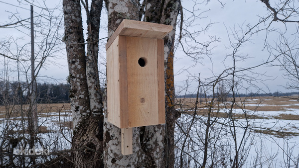 Linnu pesakast väikesematele lindudele (tihastele)