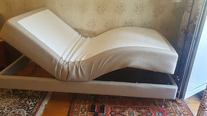 Puldiga Reguleeriv Mootor Voodi (7 foto / 10)