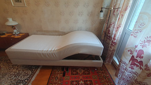 Puldiga Reguleeriv Mootor Voodi (9 foto / 10)