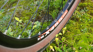 Элекровелосипед Trek Alpha 4400, Bafang 48V, 750W (8 фото из 10)