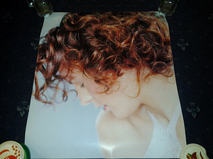 Poster (3 foto / 3)
