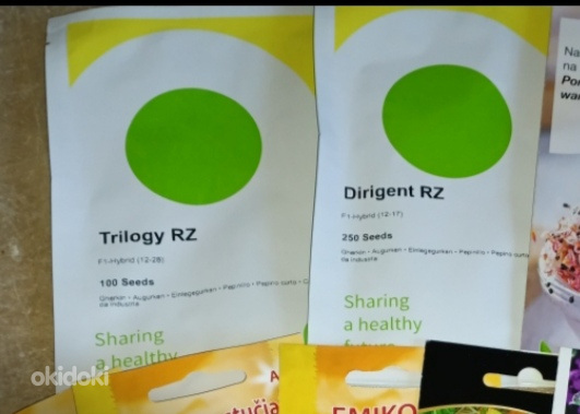 Kurgiseemned