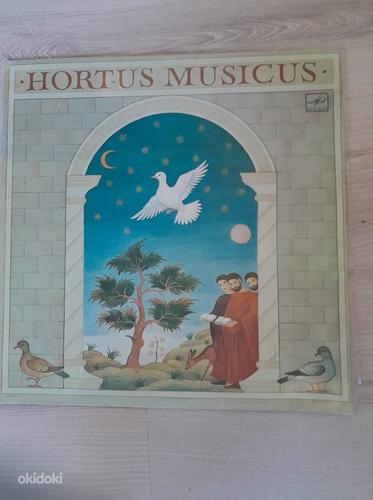 Виниловая пластинка Hortus Musicus (фото #1)