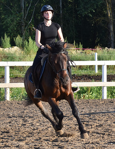 Sõbralik ruun, sündinud 2019, zemautikas. (1 foto / 3)