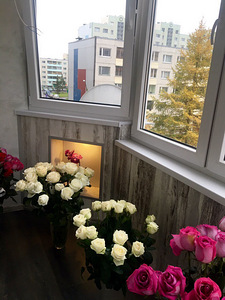 Raamita ja plast aknad (2 foto / 3)