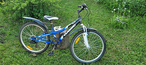 Jälgrattas Classic 24'' (2 foto / 5)