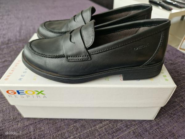 Nagu uued Geox nahast kingad, suurus 32 (foto #1)