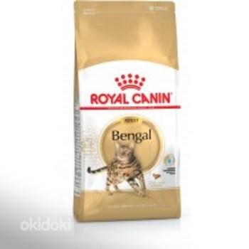 10% allahindlust tõugidieetidele kassidele Royal Canin (foto #1)