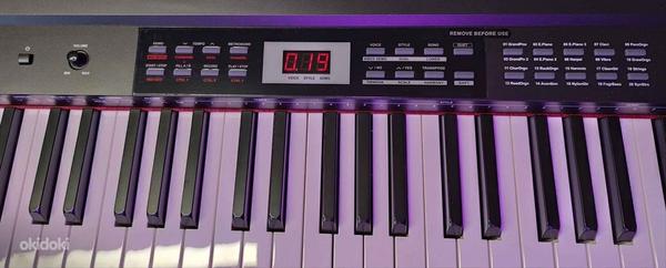 Цифровое пианино DP Intermediate 88 клавиш молотковая клавиатура (фото #4)