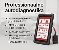 Профессиональная автодиагностика | DPF | EGR | Аккумулятор