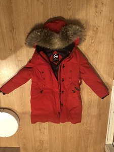 Canada goose (1 foto / 6)