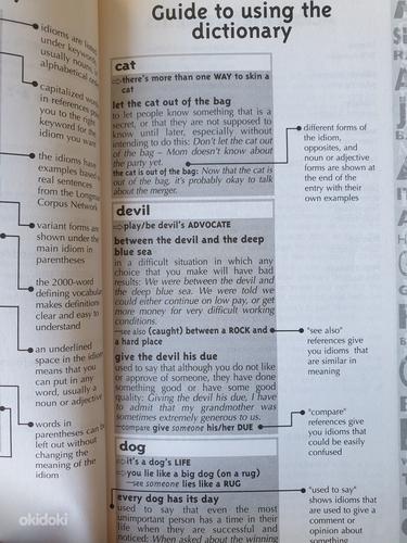 Ameerika idioomide sõnastik. (foto #3)