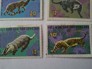 Margid Vietnam (3 foto / 3)