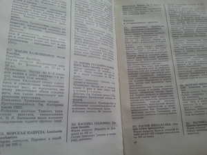 Raamatud, vene keeles (2 foto / 3)