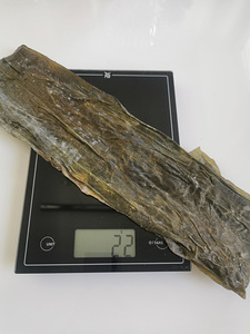 Laminaria vetikaid (3 foto / 3)