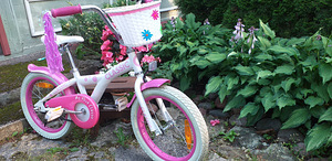Classic jalgratas 16" (2 foto / 4)