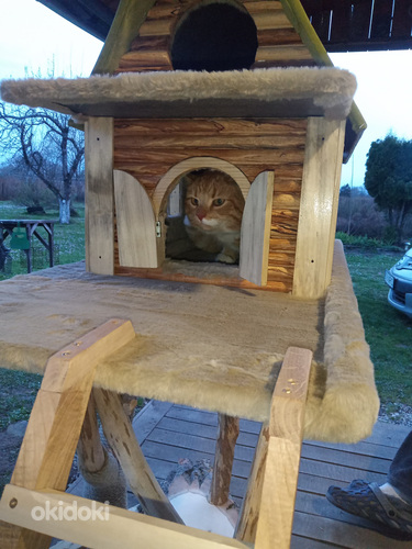 Двухэтажный домик для кота. Kahekordne kassi majake (фото #1)