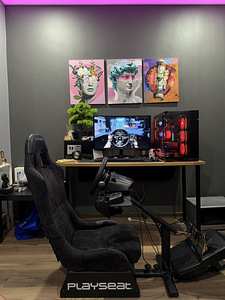 Logitech G29 + Playseat Evolution (1 фото из 5)