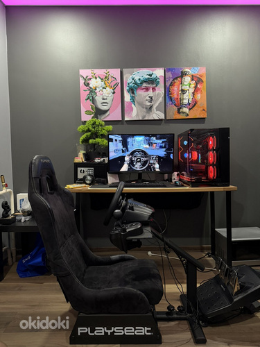 Logitech G29 + Playseat Evolution