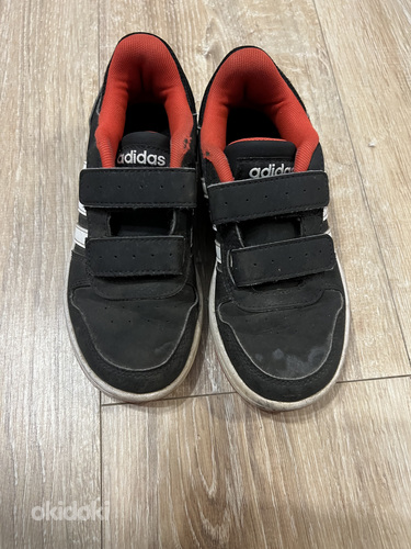 Adidas tossud 31