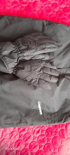 Лыжные штаны + перчатки (фото #2)