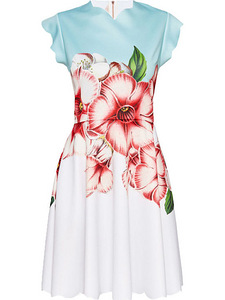 Ted Baker Maevea kleit, suurus 4 (3 foto / 3)