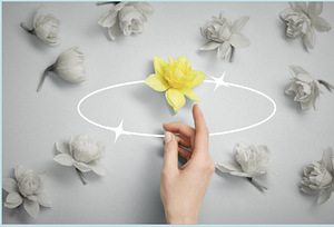 Kurs "Saatuse haldamine" (1 foto / 1)