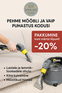 Keemiline puhastus diivanite ja vaipade kodus! (2 foto / 2)