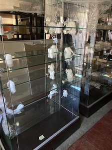 Kaupluse seadmed, vitriinid (3 foto / 8)