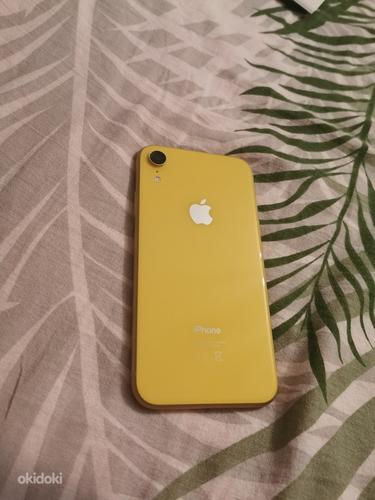Apple iPhone XR Yellow 64Gb LTE, nagu uus (foto #7)