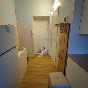 Akadeemia tee 38, Mustamäe, Tallinn, Harjumaa (8 фото из 11)